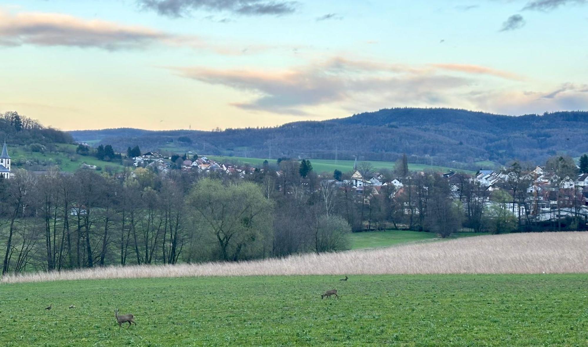Odenwaldpanorama Klein Gumpen
